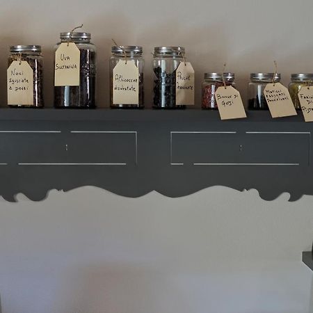 B&B La Taccola Castelnuovo di Val di Cecina Zewnętrze zdjęcie