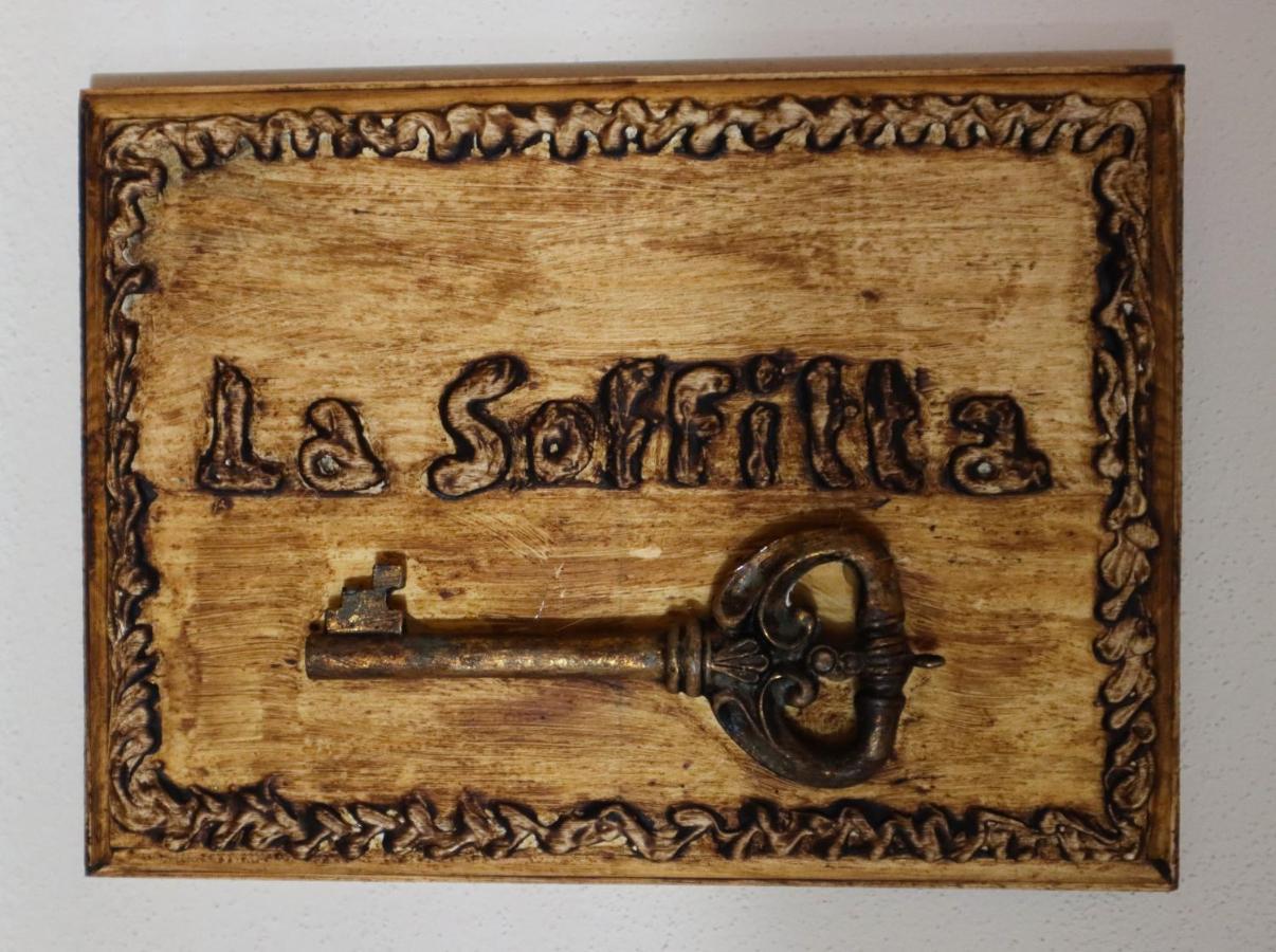 B&B La Taccola Castelnuovo di Val di Cecina Zewnętrze zdjęcie