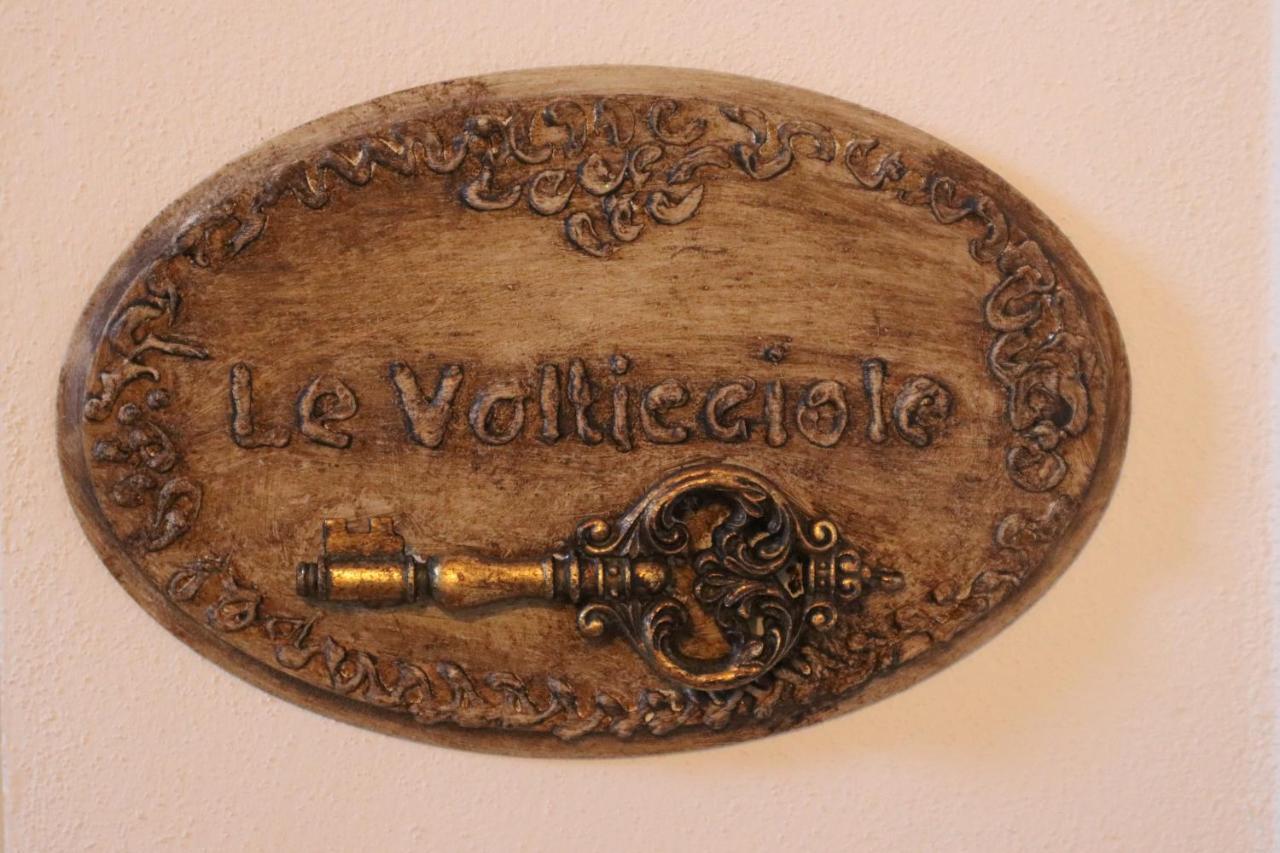 B&B La Taccola Castelnuovo di Val di Cecina Zewnętrze zdjęcie