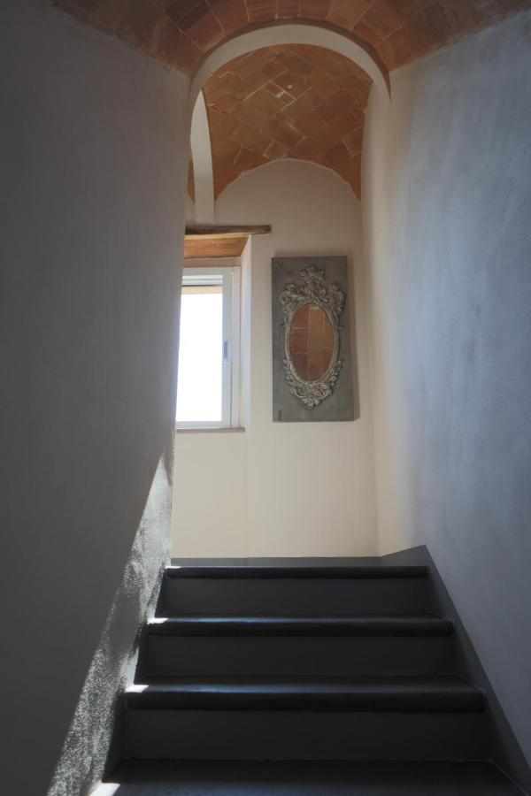 B&B La Taccola Castelnuovo di Val di Cecina Zewnętrze zdjęcie
